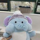 [부산 연산동] 사랑니랑 구강악안면외과 치과의원 : 매복사랑니 발치 후기