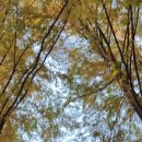 한국폴리텍 V 대학 익산캠퍼스 이미지