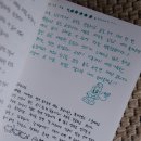 여행자 환경조경학과 졸업생 | 친구들이랑 졸업여행으로 찾은 폴개우영 방명록 후기 (답시)