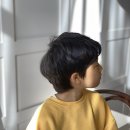 리쁘담 이미지