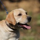 신야춘추 이미지