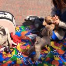 개모임 | 일산 호수공원 벚꽃이 활짝 ! 꼬꼬마친구들의 봄나들이 개모임 후기 (04.06)