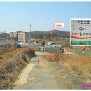 금당엄나무마을 이미지