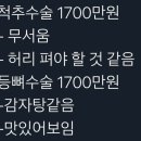 척추교정 이미지