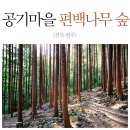 전주 완산칠봉 꽃동산 완산공원 꽃길 트레킹 2024.4.16(화) 이미지