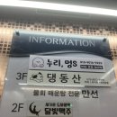 댕동산 | 시흥 배곧 신상 실내애견카페, 댕동산 솔직후기