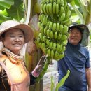 해남농장2 이미지