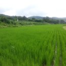 양평최고공인중개사사무소 이미지