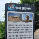 벌집 - 강릉시 | 벌집