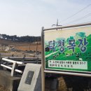 월평천 이미지