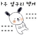 김해동물메디컬센터 이미지