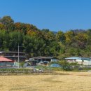 지곡(후곡) 이미지