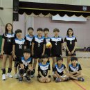 학교스포츠클럽 참가팀 (초등부-2016.09.24)사진 - 석교초등학교 이미지