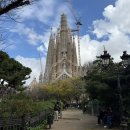 울동네축제 <상북열정축제> | 혼자 스페인 여행 2일차 : 바르셀로나