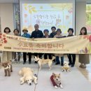 댕댕파티 이미지