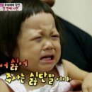 에이스애견미용학원 이미지