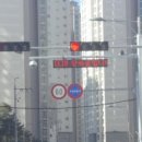 주정차73 이미지