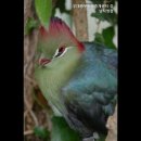 강남부동산센터공인중개사사무소 이미지