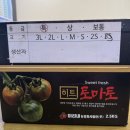 토마토유치원 | 히트 토마토 구매후기