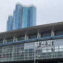 [정보] 부산 올리브영 한정상품 딜라이트 프로젝트 3종 후기, 부산온리 허니머스타드 베이글칩, 씨앗...