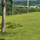 해림골프 이미지