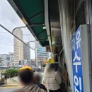 거여서울약국 | 그 유명한 왕솔약국 나도 다녀왔다