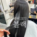 오거리약국 | 전주염색 페이크블랙 추천 블랙인데 블랙이 아닌 이 컬러