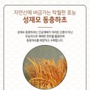 베프 바이오 이미지