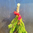 미드나잇코티지 이미지