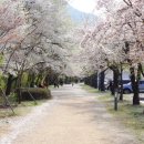 금오산로2-2 이미지