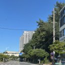 청화목욕탕 | 2025년 여름휴가⛱️