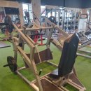 팀 스파르타짐 이미지