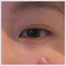 에바 | 미팩토리 뿌숭뿌숭파우더 내돈내산 에바였던 후기