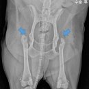 청송동물병원 이미지