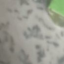 벼락푸드