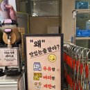 꽈배기는 당연하다 | 외국인 1위 맛집. 잠실호떡 솔직 후기.(feat.대파 꽈배기 안 먹어본 사람이랑은 겸상 안 함.)잠실호떡...