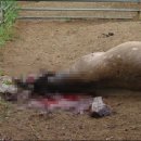 성락농장 이미지