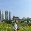 운동)1회 참가자가 말해주는 2회 참여후기(쉬엄쉬엄 한강 3종)