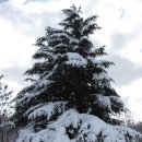 다운목장 이미지