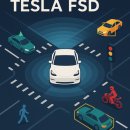 🚗 자율주행의 미래를 여는 일론 머스크의 비젼~