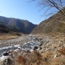 낙동강원시비경탐방로 이미지