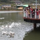 남악신도시에너지 이미지