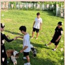 컴투펫 위탁보호센터 이미지