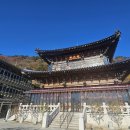 당리푸른 이미지