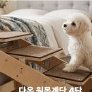 다온원목