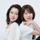 다시 봄 이미지