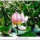 고구낚시터 이미지