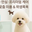 행복펫 애견미용실 이미지
