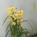 안제의원 이미지