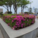 주리경로당 이미지